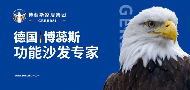 能沙发专家 大国隐形冠军OG真人游戏博蕊斯——功(图3)
